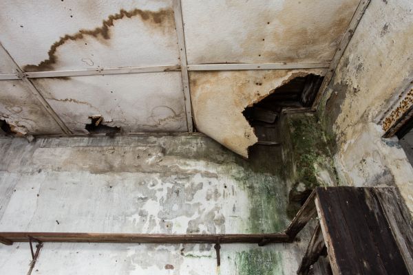 Water Damage Service in Thousand Oaks