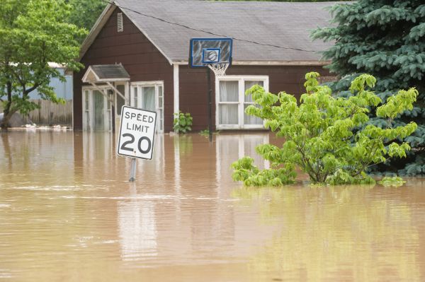 Storm Restoration Service in Thousand Oaks