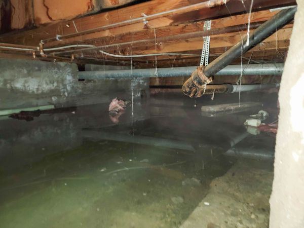 Water Mitigation Service in Thousand Oaks
