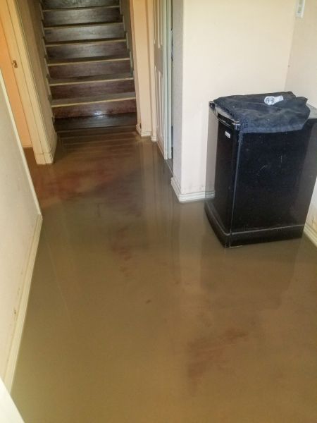 Cost of Emergency Water Removal in Thousand Oaks