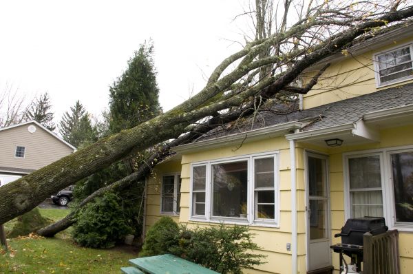Storm Damage Mitigation in Thousand Oaks